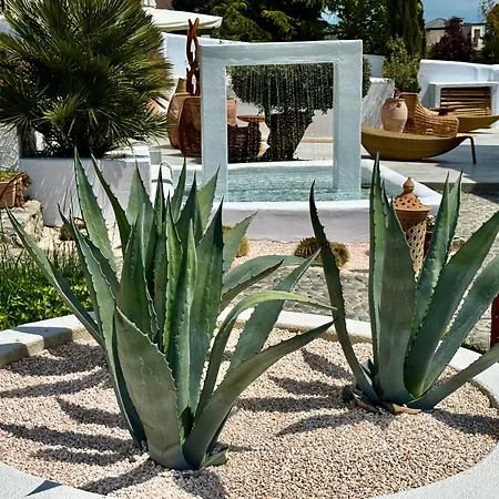Casa De Oro Alma-2